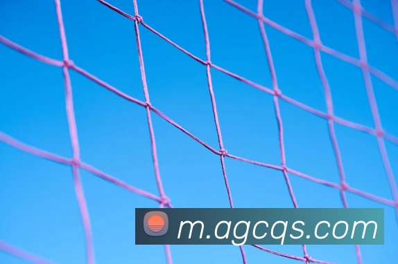 ag官网APP 体育赛事宣传图